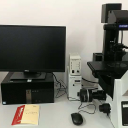 气相色谱-单四极杆质谱仪(5977B MSD)